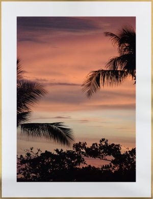 Twilight in Paradise